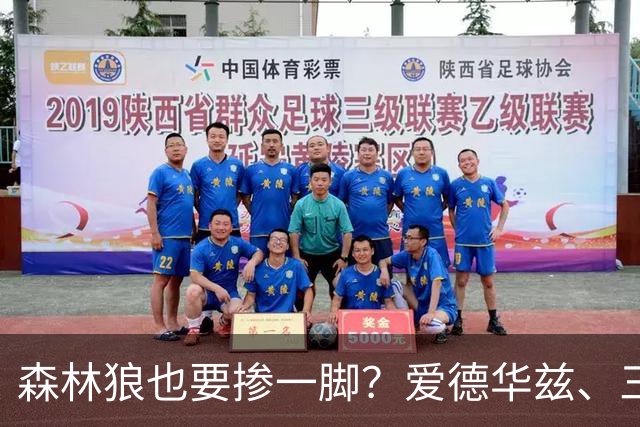 森林狼也要掺一脚？爱德华兹、三球联手招募，詹姆斯去向即将揭晓